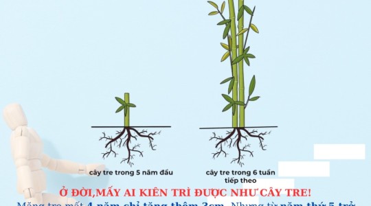 THÀNH QUẢ SẼ ĐẾN KHI BẠN ĐỦ KIÊN TRÌ !!!