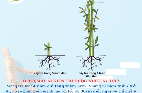 THÀNH QUẢ SẼ ĐẾN KHI BẠN ĐỦ KIÊN TRÌ !!!